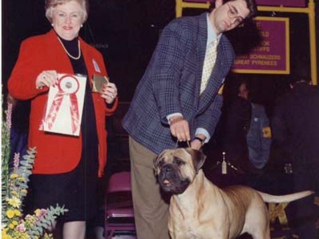 frieda westmins0001