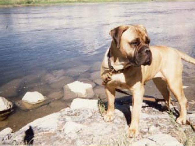 frieda river0001