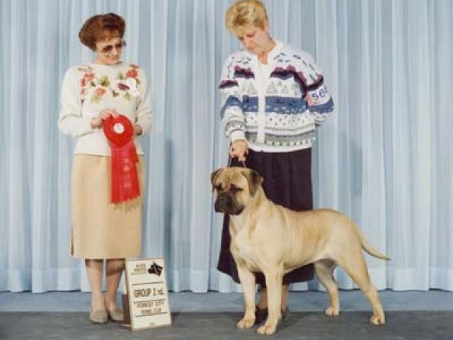 frieda forestcitykc0001